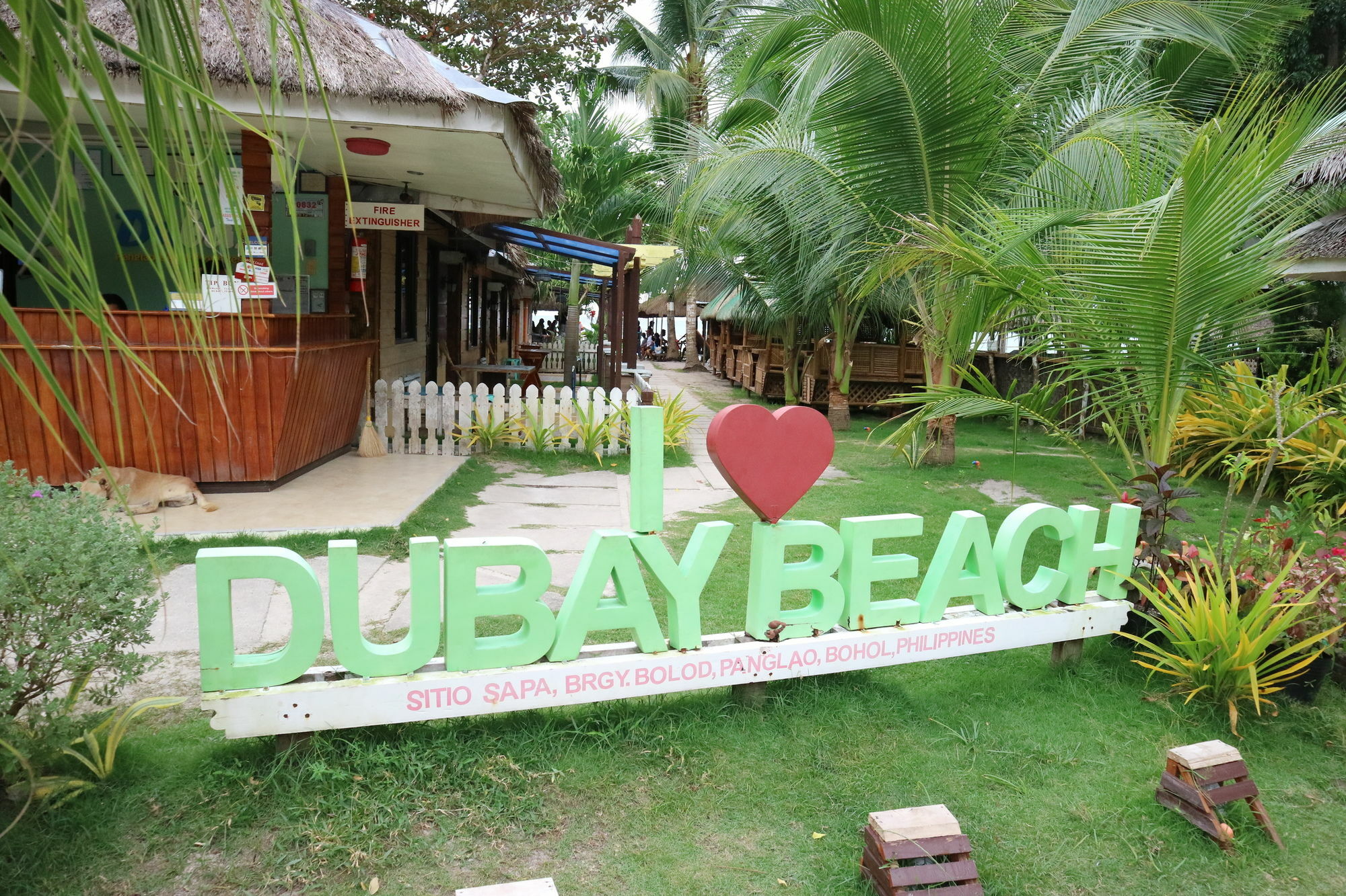 Dubay Panglao Beachfront Resort Libaong Εξωτερικό φωτογραφία